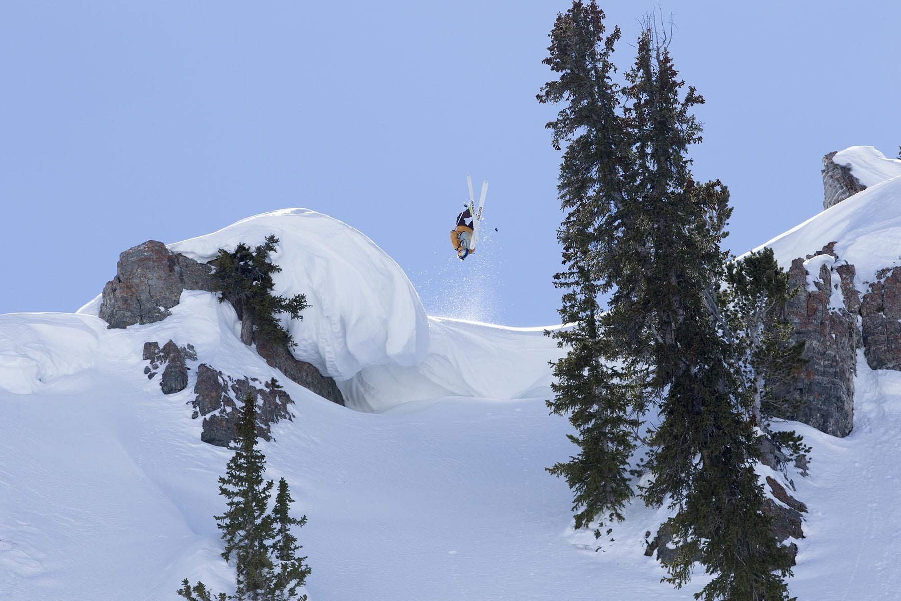 Valg af ski – Vælg de rigtige ski - Steep & Deep