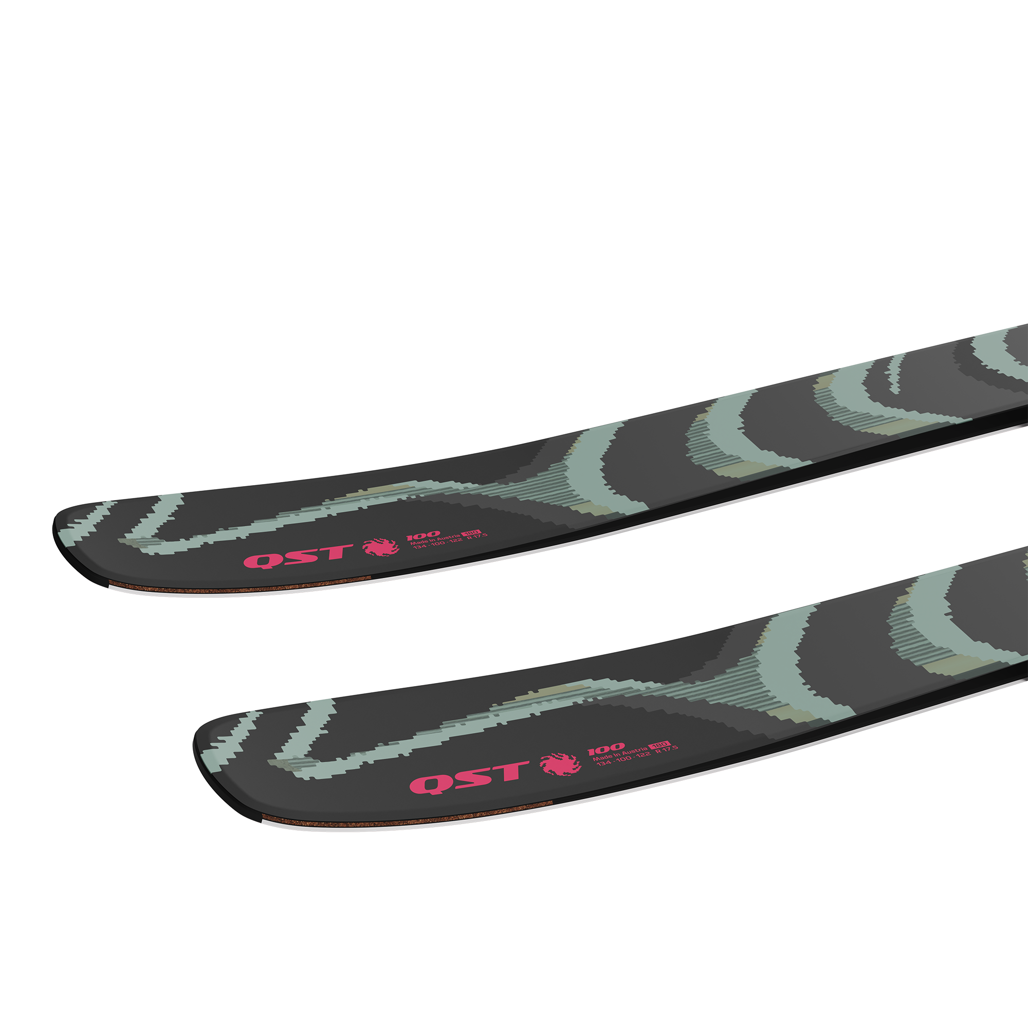 Salomon QST 100 Black