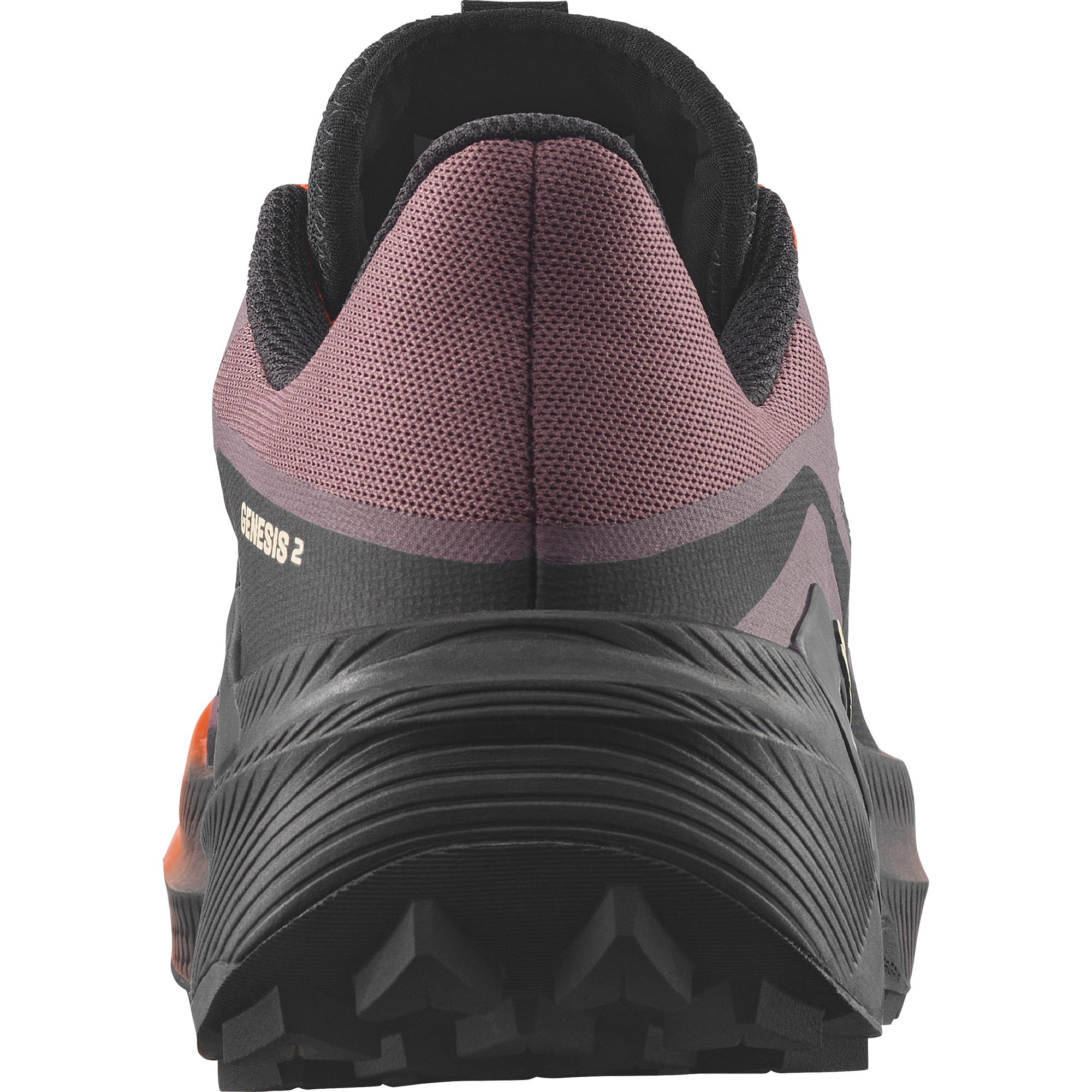 SALOMON GENESIS 2 W
